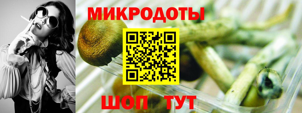 Псилоцибиновые грибы ЛСД Балтийск